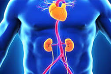 RECOMENDACIONES PARA MANEJO DEL PACIENTE CARDIORRENAL METABÓLICO