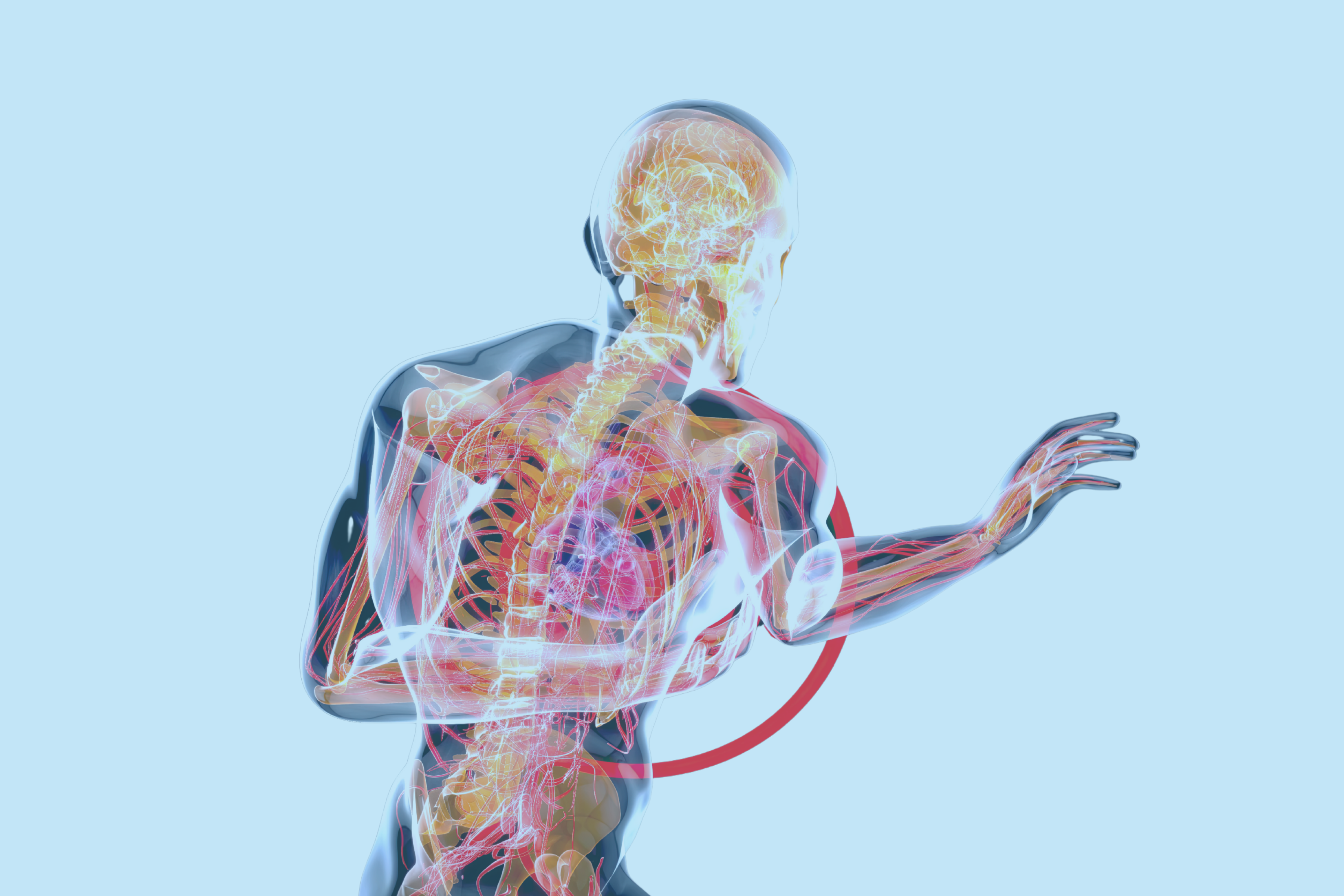 Atlas 3D